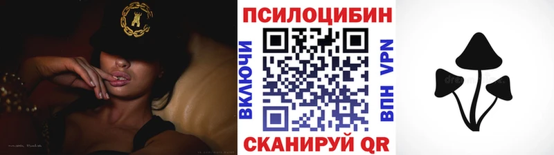 darknet Telegram  MEGA рабочий сайт  Черемхово  Псилоцибиновые грибы мицелий 